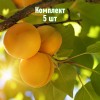 Комплект 5шт / Абрикос Солнышко